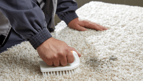 Professional Rug Cleaning Bacchus Marsh